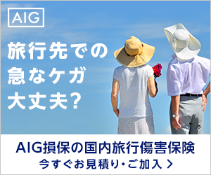 AIG損害保険株式会社
