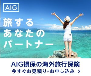 AIG損害保険株式会社